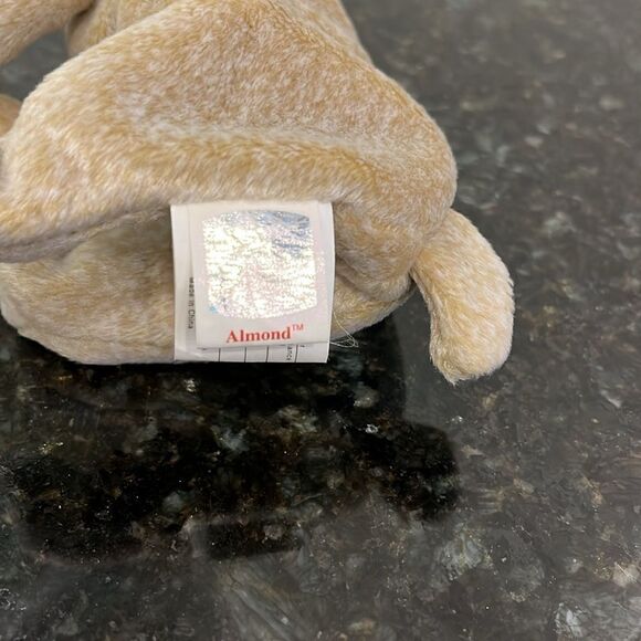 TY Beanie Baby Almond the Beige Bear 1999 Babies Plush Doll Shiny Black Eyes - Picture 12 of 13